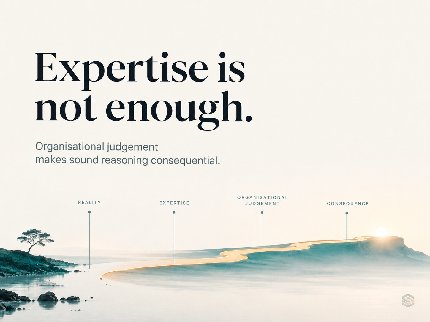Conceptual visual showing expertise becoming consequential through organisational judgement.